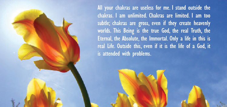 All your Chakras...