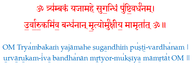 meaning of maha mrityunjaya mantra in bengali